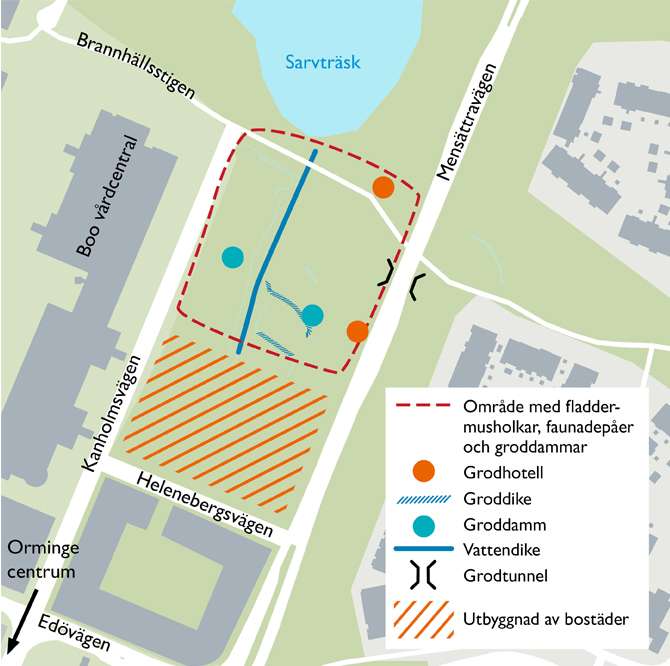 Förutom tidigare anlagda groddammar, kommer även två grodhotell att byggas i närheten av Sarvträsk i Nacka.