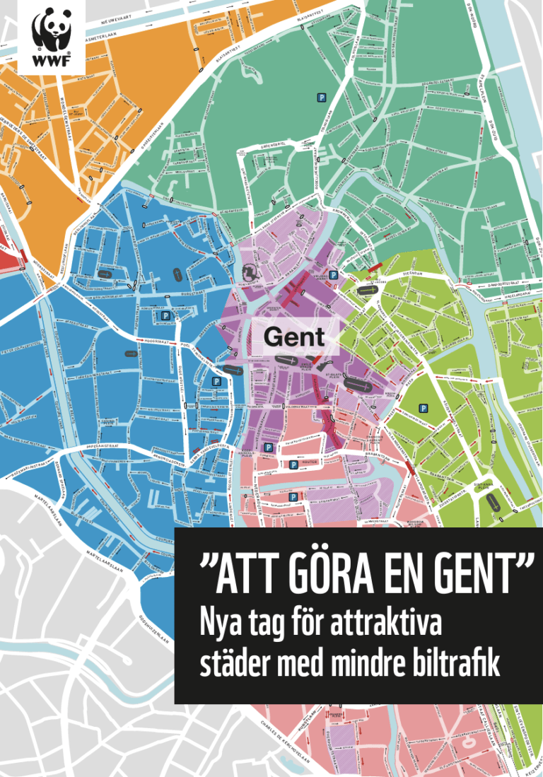 rapport: att göra en gent